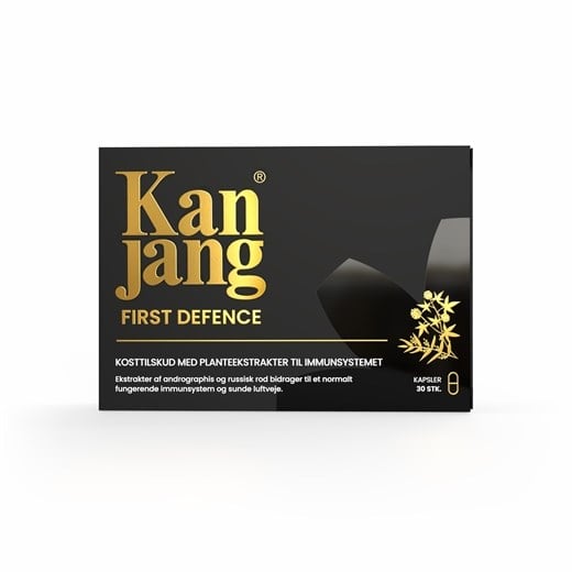 Kan Jang first defence
