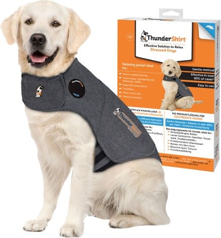 Thundershirt str. XL